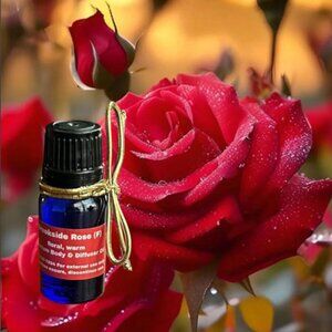 New Brookside Rose Body and Diffuser Oil 10ml 🌹